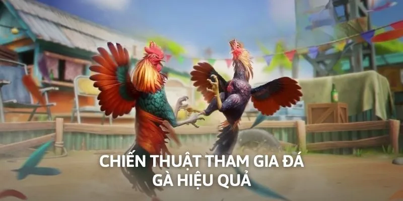 Chiến thuật tham gia đá gà hiệu quả