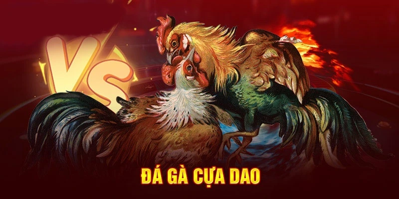 đá gà cựa dao