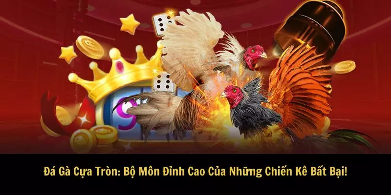 Đá gà cựa tròn