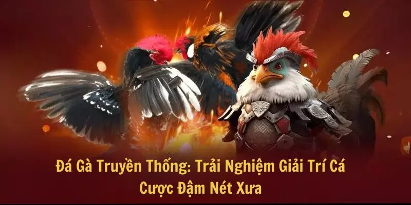 đá gà truyền thống