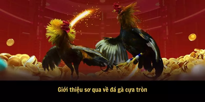 Giới thiệu sơ qua về đá gà cựa tròn