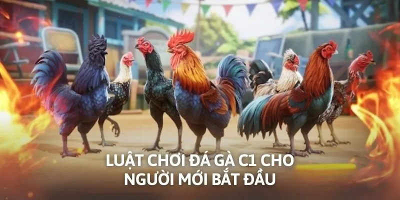 Luật chơi đá gà C1 cho người mới bắt đầu