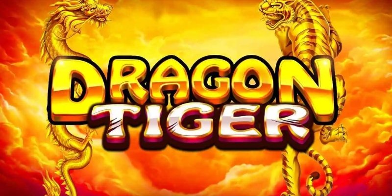 Lý do game Dragon Tiger siêu dễ gây nghiện