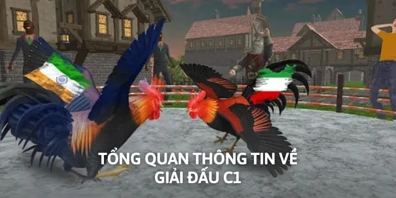 Tổng quan thông tin về giải đấu C1